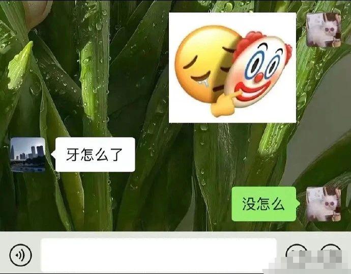 “怎么湖南的狗都爱上吃辣椒了？”网友：一方水土养一方狗哈哈哈哈