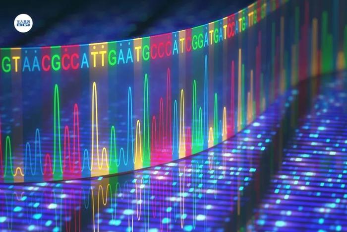 健康时报：携带者超14%，最新研究揭示这一地区地贫现状