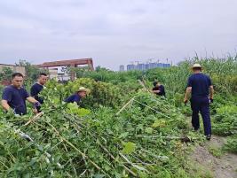 拆除违章搭建、美化房屋……他们提升乡村整体风貌