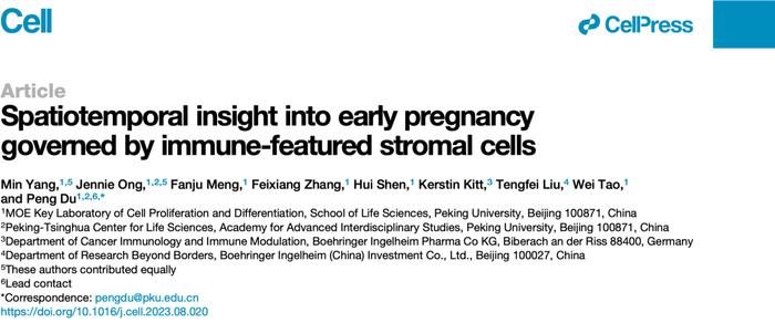 Cell | 杜鹏研究组时空解析免疫特性的蜕膜基质细胞介导妊娠早期子宫微环境的建立和稳态维持