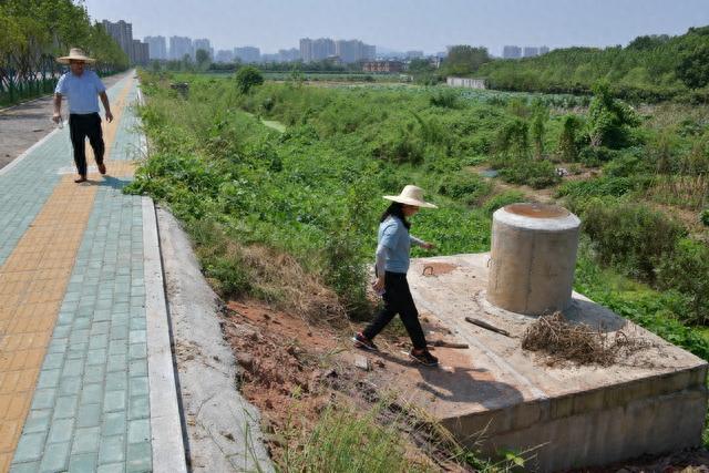 “肥瘦搭配、以丰补歉”，农村生活污水治理明确新思路