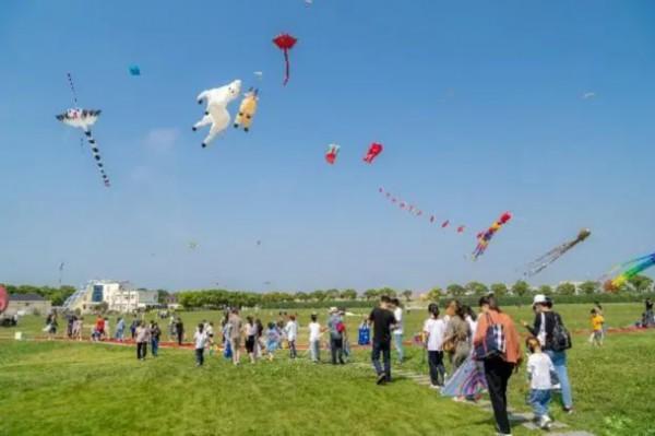 旅游风筝会、沙滩滑水节！来奉贤海湾体验上海旅游节精彩活动