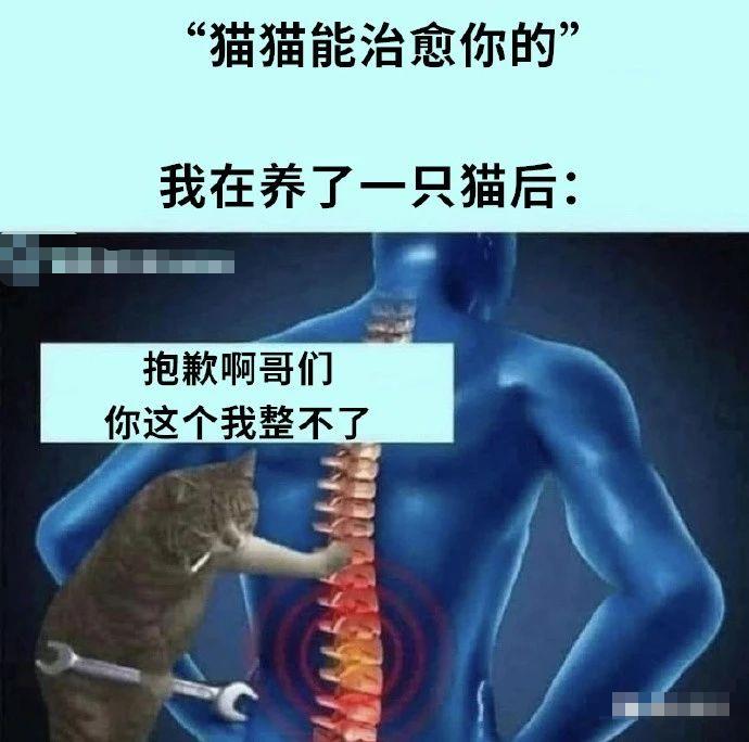 你能从食物身上学会什么道理？让我们一起说，谢谢小龙虾！