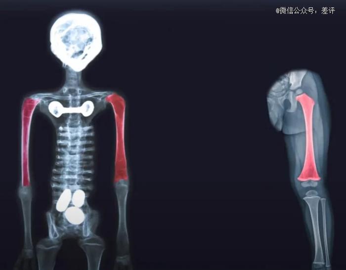 看完墨西哥的外星人，连刷了三季走近科学