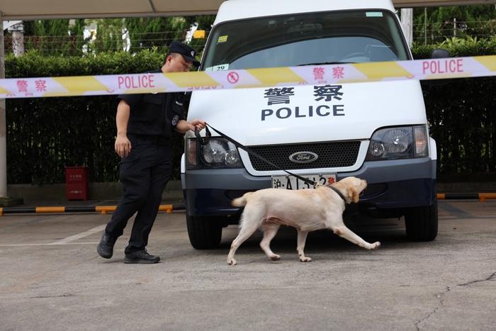 上海“最强”警犬花落谁家？快来精彩刺激的“警汪”比武现场找答案吧！