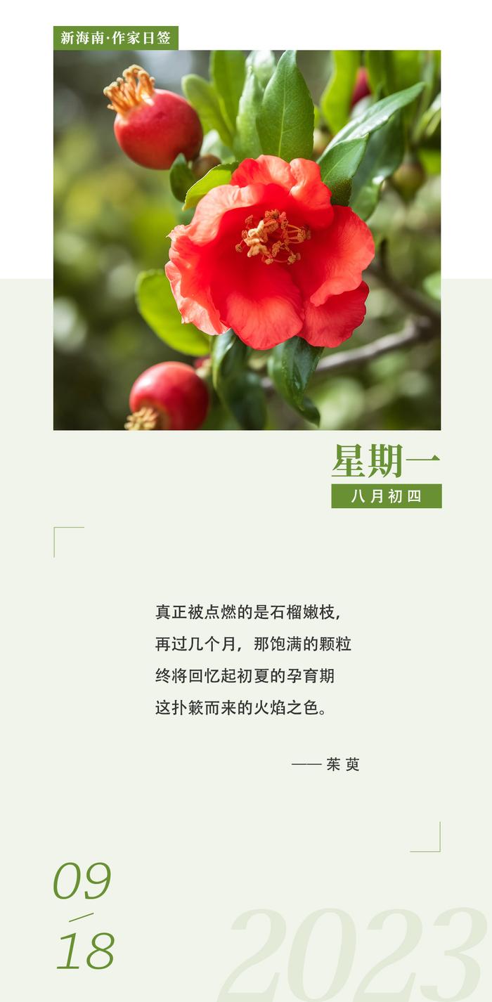 茱萸：这是独属于铺叙的时刻