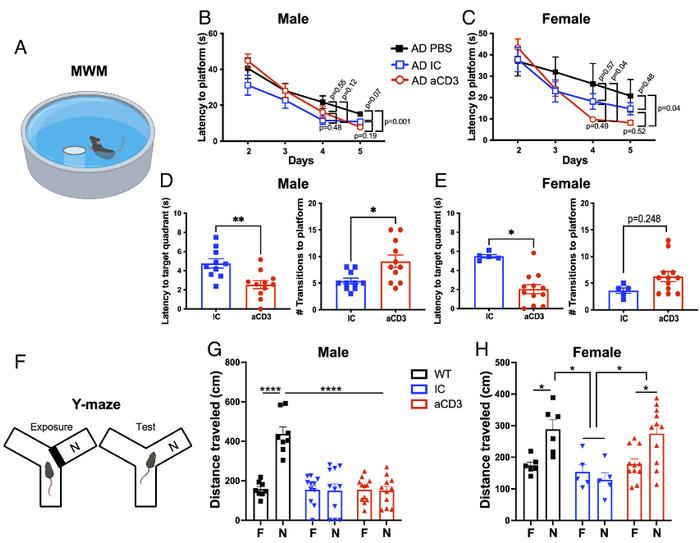 PNAS | 临床前研究证据表明鼻腔内免疫疗法或能有望治疗阿尔兹海默病