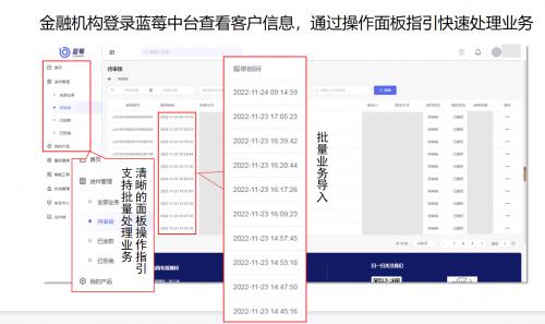 中壬蓝莓：获客风控一体化，助力金融机构信贷业务增长