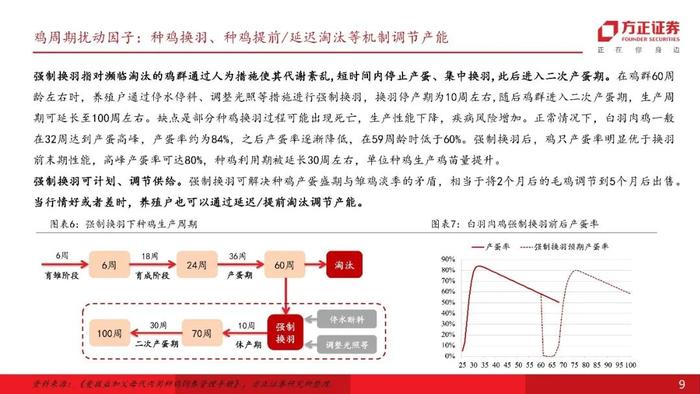 【方正农业】白羽鸡周期复盘以及当前周期位置：鸡价开启上行拐点在今年10月左右