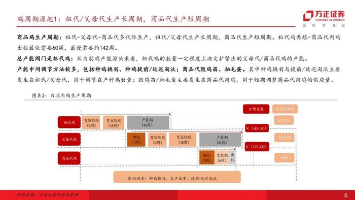 【方正农业】白羽鸡周期复盘以及当前周期位置：鸡价开启上行拐点在今年10月左右