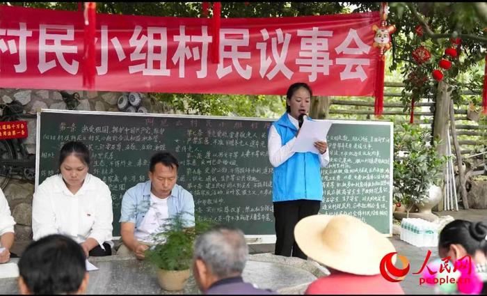 人民网 | 大榕树下的村民议事会 “议”出幸福事