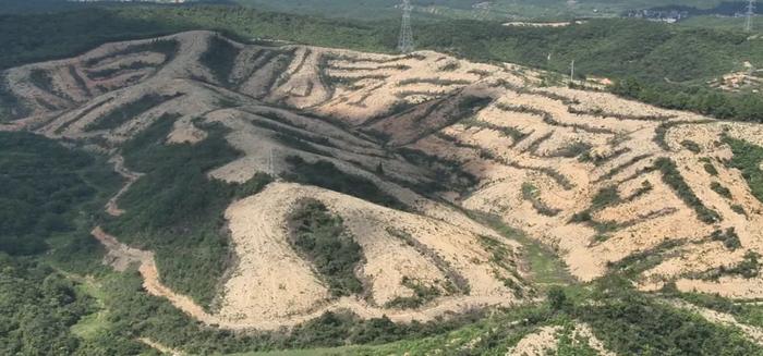 督察发现一地餐厨垃圾日产生量800余吨，竟有600余吨去向不明......