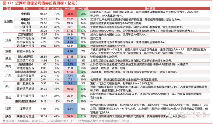 信用研究 | 信用下沉快速演绎，担保债价值何处寻？—— 上篇：担保公司基本面扫描