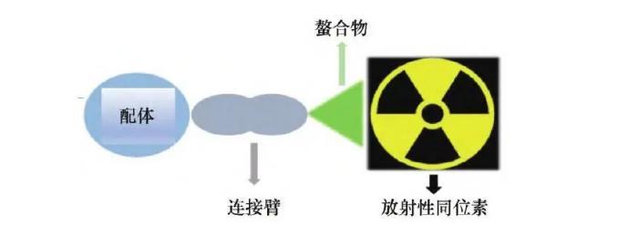 超10亿美元！罗氏与PeptiDream合作开发PRC，国内研发进展如何？