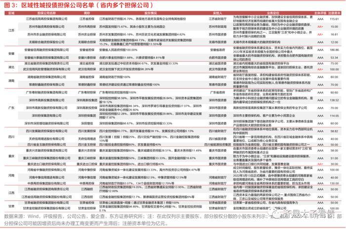 信用研究 | 信用下沉快速演绎，担保债价值何处寻？—— 上篇：担保公司基本面扫描