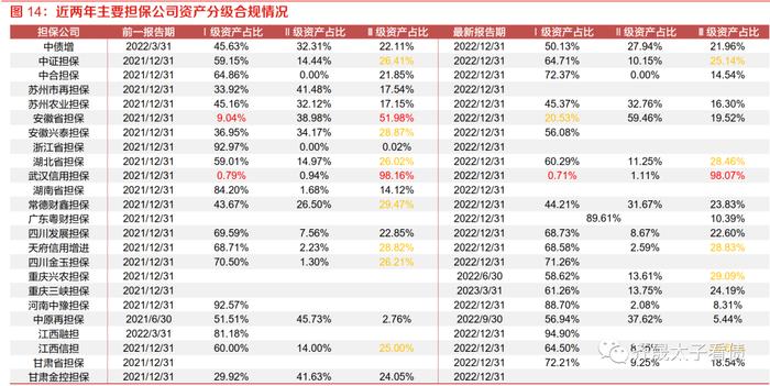 信用研究 | 信用下沉快速演绎，担保债价值何处寻？—— 上篇：担保公司基本面扫描