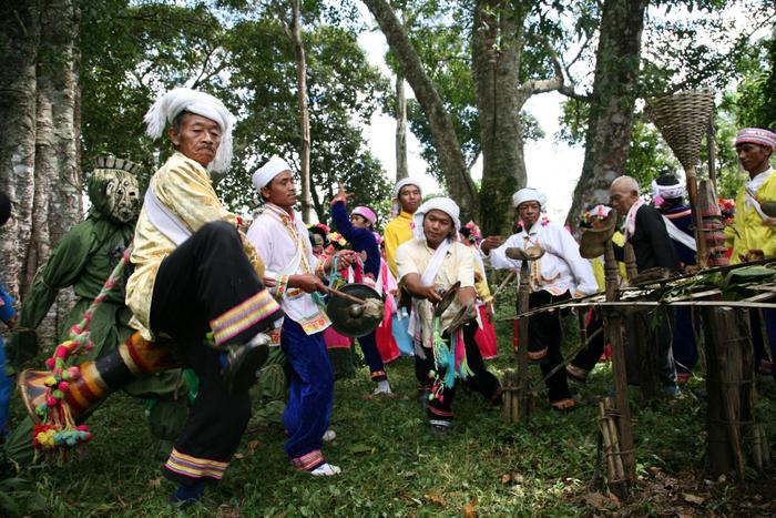 “普洱景迈山古茶林文化景观”成功列入《世界遗产名录》：林茶共生 人地和谐