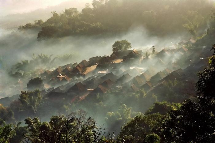 “普洱景迈山古茶林文化景观”成功列入《世界遗产名录》：林茶共生 人地和谐