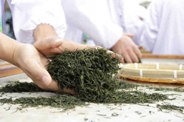 2023第28届上海国际茶文化旅游节系列报道：全国“十大名茶”香飘海内外