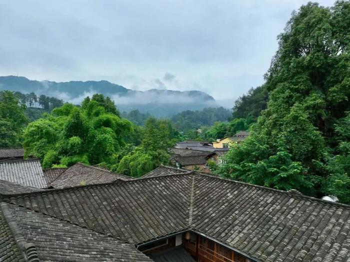 夏去秋来，寻一处，品茗、抚琴、听雨，岂不快哉！