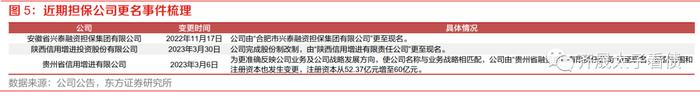 信用研究 | 信用下沉快速演绎，担保债价值何处寻？—— 上篇：担保公司基本面扫描