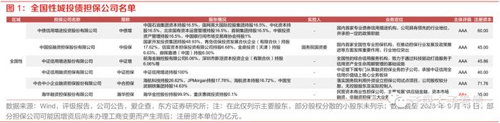 信用研究 | 信用下沉快速演绎，担保债价值何处寻？—— 上篇：担保公司基本面扫描