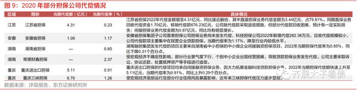 信用研究 | 信用下沉快速演绎，担保债价值何处寻？—— 上篇：担保公司基本面扫描