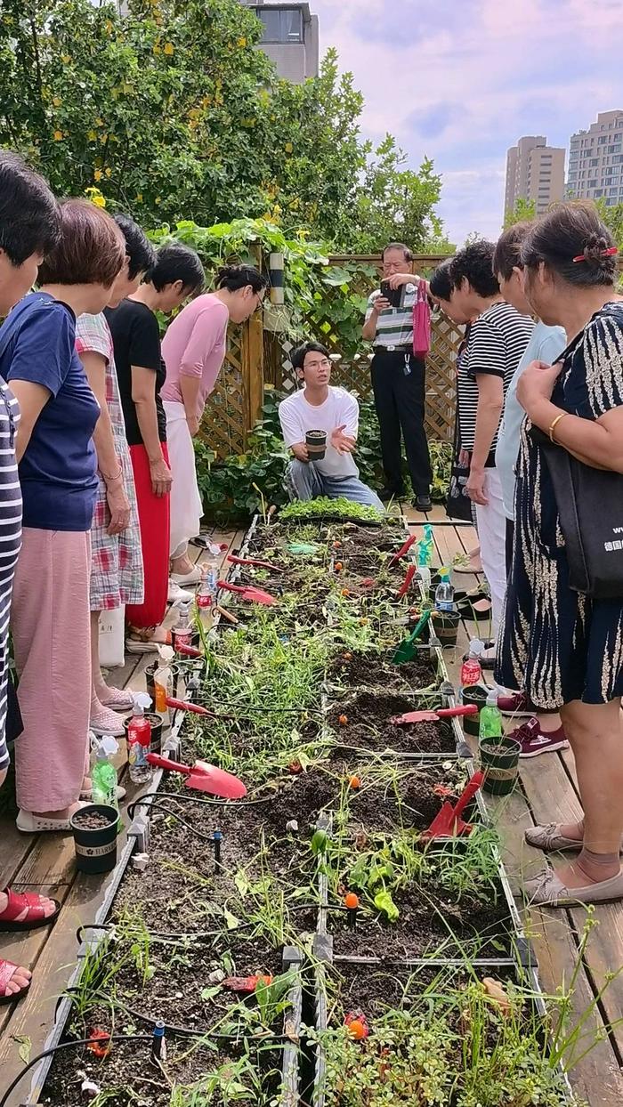 活力万里·邻聚里丨上海阿姨爱种菜，万里这个“开心菜园”里欢笑声不断