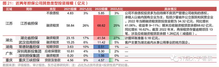 信用研究 | 信用下沉快速演绎，担保债价值何处寻？—— 上篇：担保公司基本面扫描