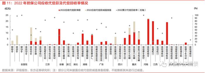 信用研究 | 信用下沉快速演绎，担保债价值何处寻？—— 上篇：担保公司基本面扫描