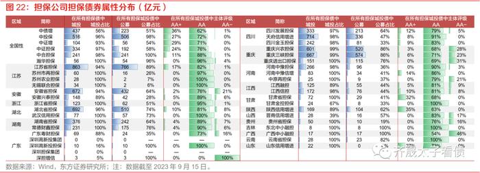 信用研究 | 信用下沉快速演绎，担保债价值何处寻？—— 上篇：担保公司基本面扫描