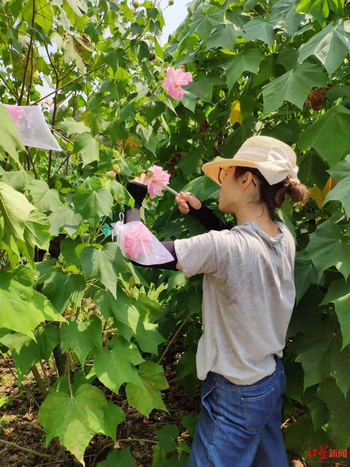 三星堆器物“重生”、“鸽子花”下山、“芙蓉”腮红……揭秘“桐妹儿”背后的故事