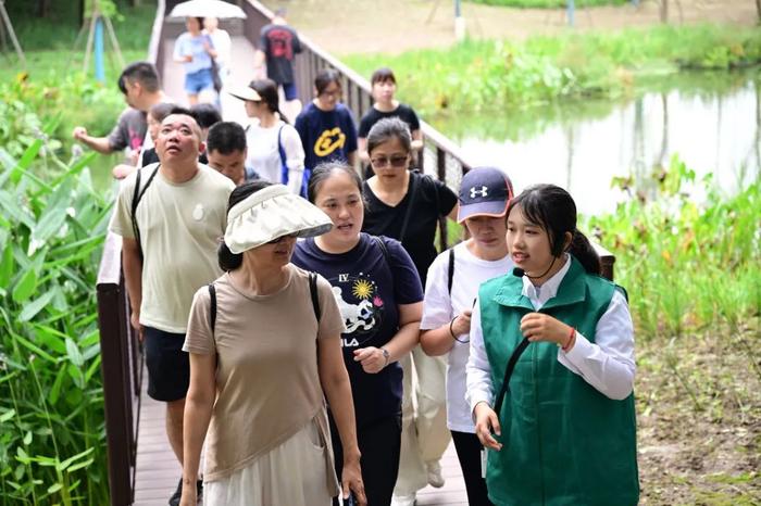 共同守护身边的绿色资源！新区林长办邀请民间林长探访湿地