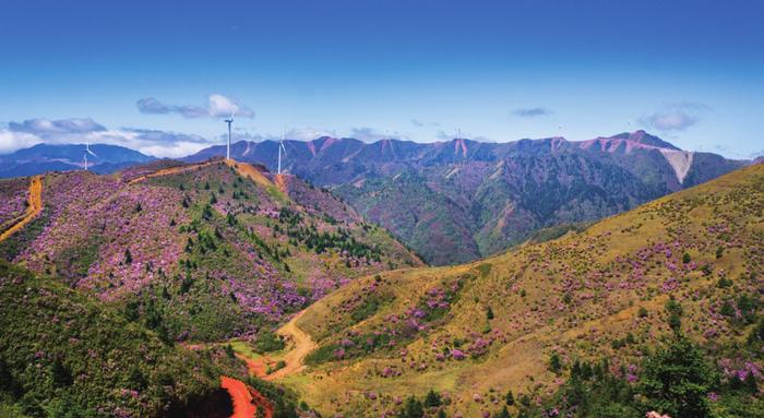 华能新能源四川分公司检修中心南部中心站青年团队：驻守凉山，乘风逐梦