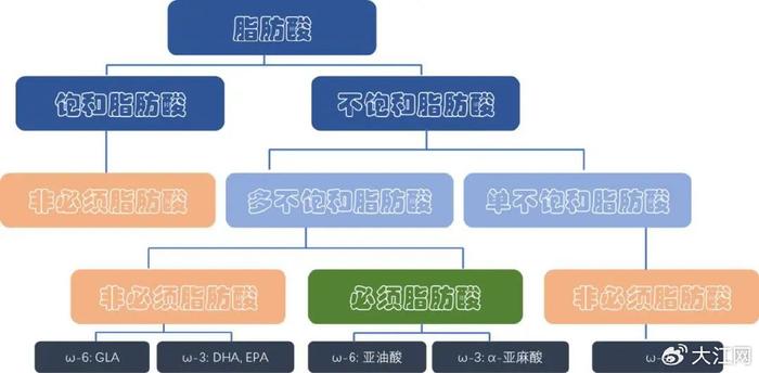 如何科学挑选食用油？记住这4个维度！