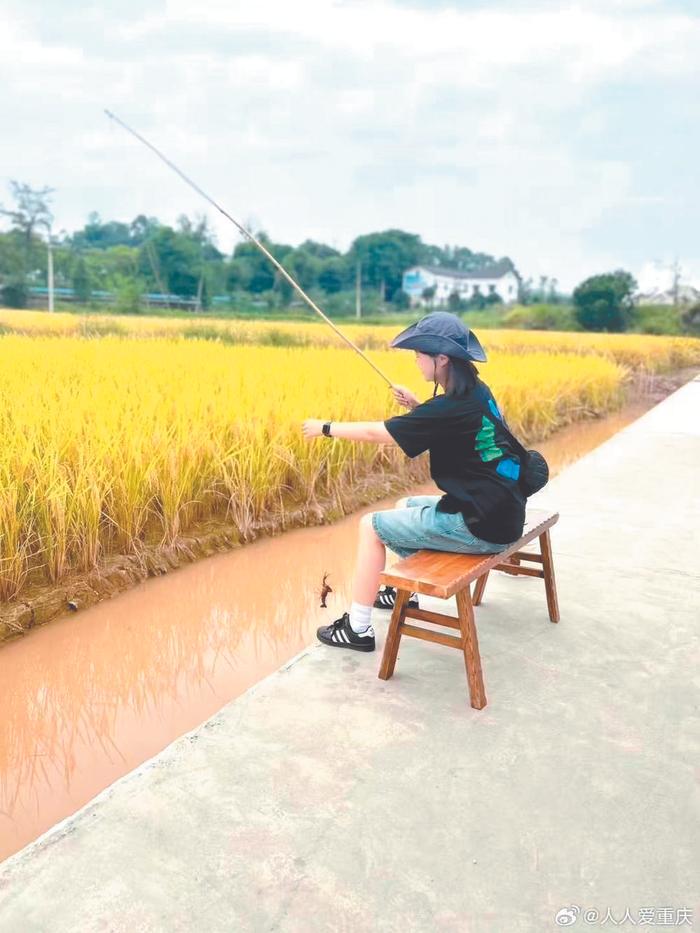 稻田里吃火锅钓龙虾 是种什么样的体验？