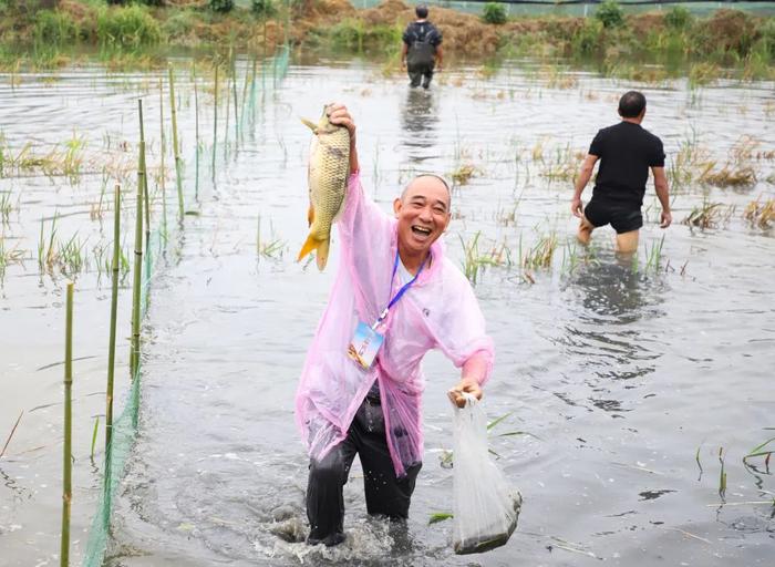 摸鱼、钓虾、打糍粑…今天，兴文人欢乐庆祝丰收节！