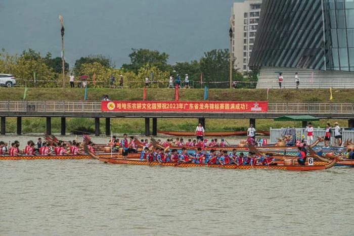 群舟竞渡，逐浪争先！今天，这场省龙舟锦标赛在肇庆新区举行→