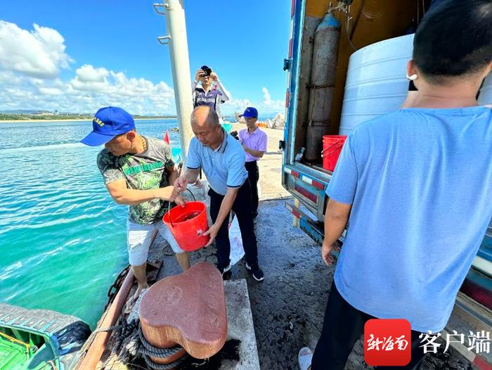 三亚增殖放流4万尾鱼儿 保护海洋生物多样性