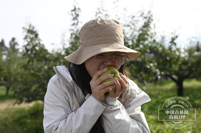 稻花香里说丰年丨悄悄告诉你，延边苹果梨为啥这么好吃