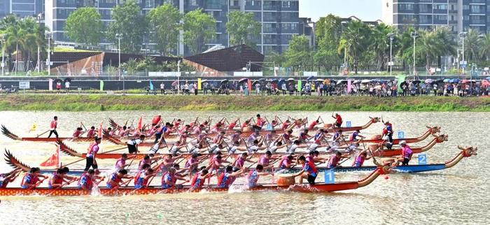 群舟竞渡，逐浪争先！今天，这场省龙舟锦标赛在肇庆新区举行→