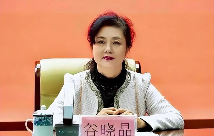 谷晓晶，再被纪委通报！更多细节公开……