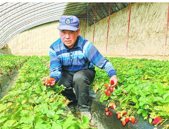 【生态观察】海东：以“绿”为媒， 探索生态产品价值新路径