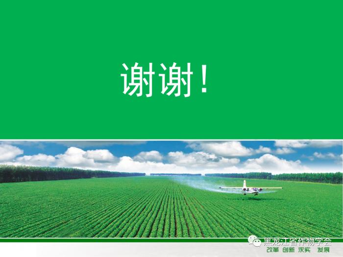 2023年1-8月我国进口粮食数量、吨价、主要来源国情况