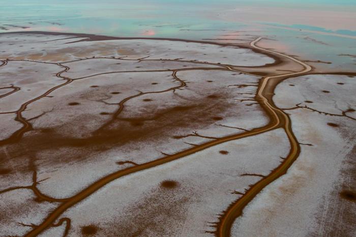 黄河三角洲滨海盐碱地可持续利用的水土资源约束与均衡配置策略丨中国工程科学