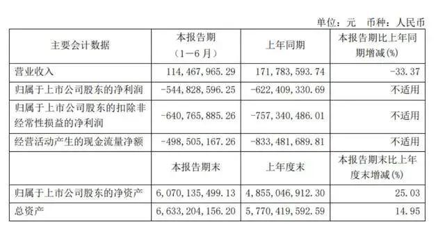 上市3年亏了30亿，6个原始股东“清仓”套现60亿，500亿“AI芯片巨头”董事长急了：我承诺，不减持！