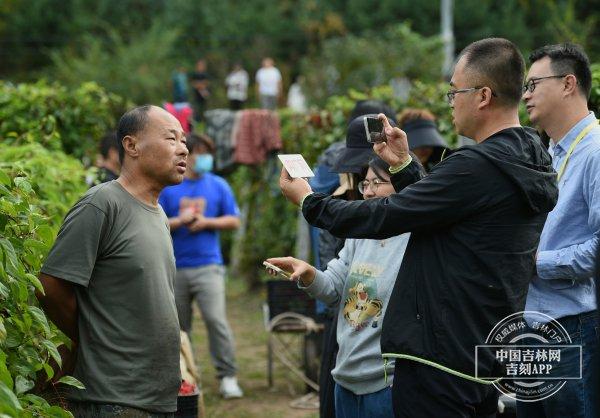 稻花香里说丰年·热搜榜｜吉林的丰收之美看不尽，吉林奋进的故事写不完