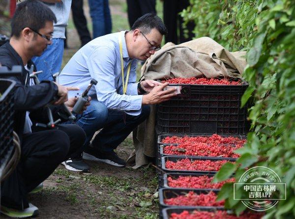 稻花香里说丰年·热搜榜｜吉林的丰收之美看不尽，吉林奋进的故事写不完