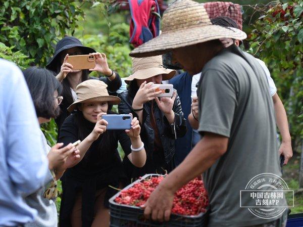 稻花香里说丰年·热搜榜｜吉林的丰收之美看不尽，吉林奋进的故事写不完