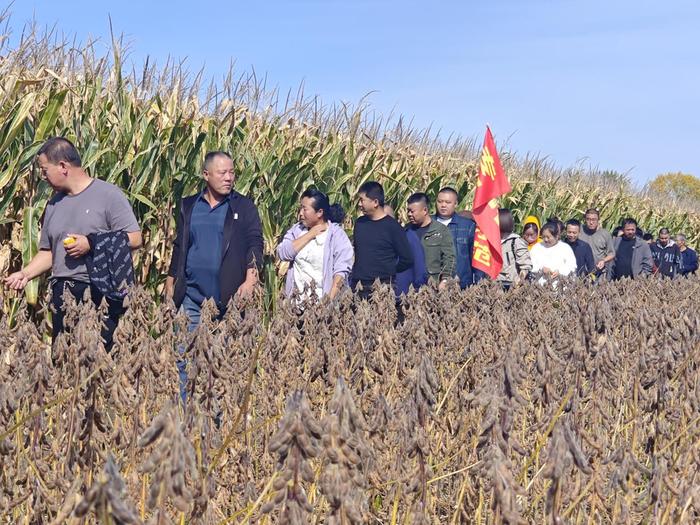 黑龙江省第二积温带大豆专家育种示范基地现场观摩会在双鸭山市召开